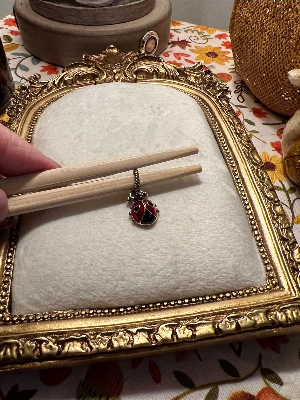 Brighton Red and Black Enamel Ladybug Charm Necklace Pendant